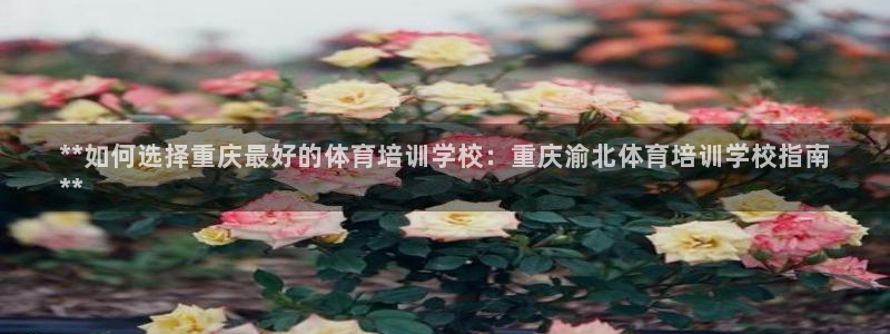 尊龙人生就是一博!：**如何选择重庆最好的体育培训学