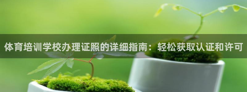 尊龙凯时几百万怎么下：体育培训学校办理证照的详细指南