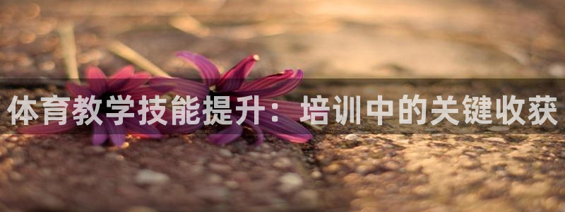 尊龙d88官网登录下载：体育教学技能提升：培训中的关