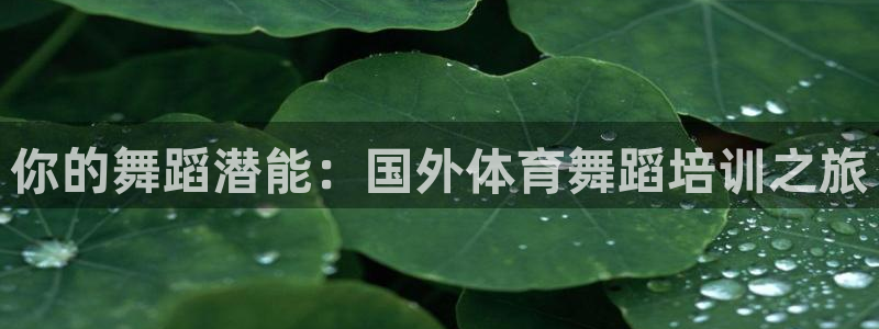 尊龙 中国：你的舞蹈潜能：国外体育舞蹈培训之旅