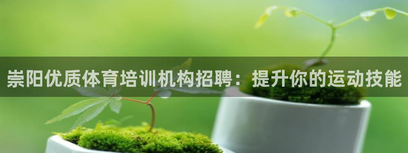 尊龙凯时网娱乐最新版：崇阳优质体育培训机构招聘：提升