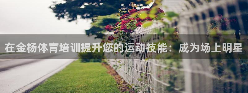 尊龙凯时人生就是搏官方网站：在金杨体育培训提升您的运
