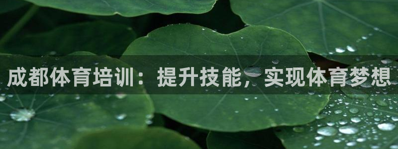 尊龙ag旗舰厅官网·(中国)官方入口：成都体育培训：