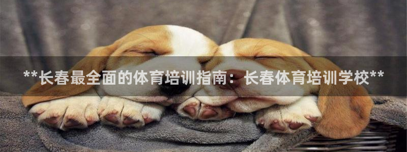 尊龙游戏官网游戏特色：**长春最全面的体育培训指南：