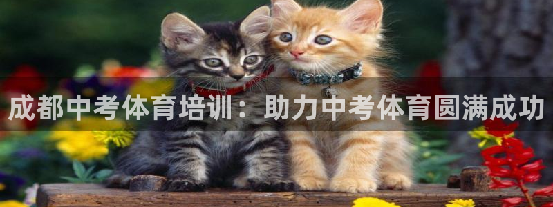 尊龙登录会员登录：成都中考体育培训：助力中考体育圆满