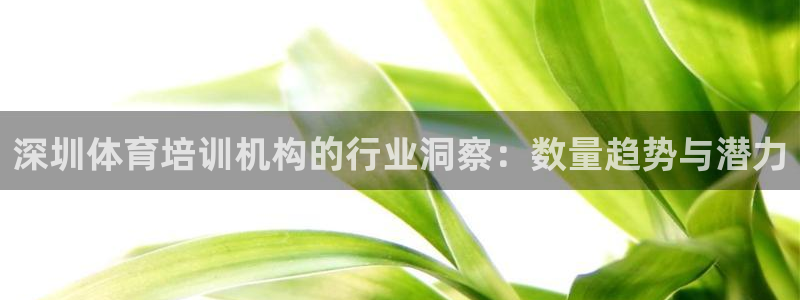 尊龙凯时 人生就是搏：深圳体育培训机构的行业洞察：数