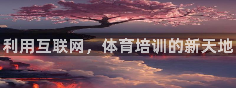 尊龙物流怎么样：利用互联网，体育培训的新天地