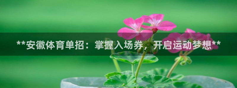 尊龙凯时用户名m：**安徽体育单招：掌握入场券，开启