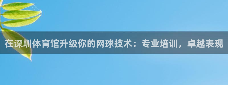 尊龙人生就是博登录：在深圳体育馆升级你的网球技术：专