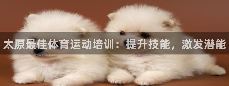 尊龙怎么没消息了：太原最佳体育运动培训：提升技能，激