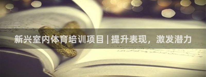 尊龙凯时麻将胡了：新兴室内体育培训项目 | 提升表现