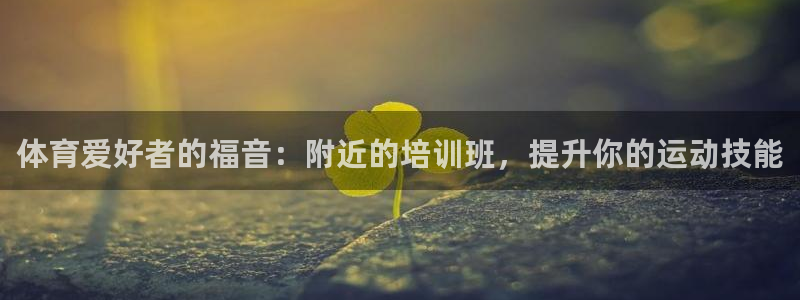 尊龙凯时代理官网入口：体育爱好者的福音：附近的培训班