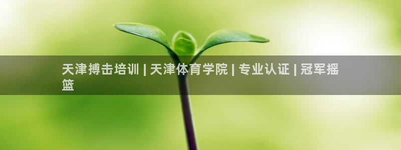 凯时k88最新：天津搏击培训 | 天津体育学院 | 