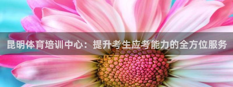 尊龙凯时官网正规吗