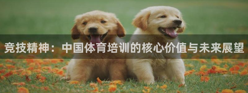 尊龙ktv怎么样