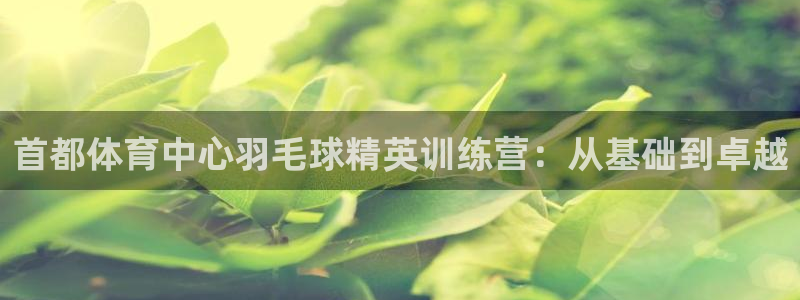 尊龙ag旗舰厅手机版