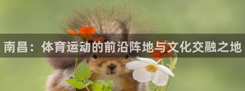 尊龙新版App下载