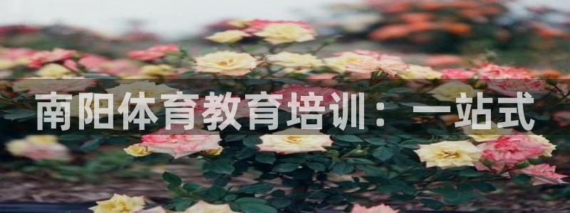 尊龙凯时人生就是博·(中国)官网