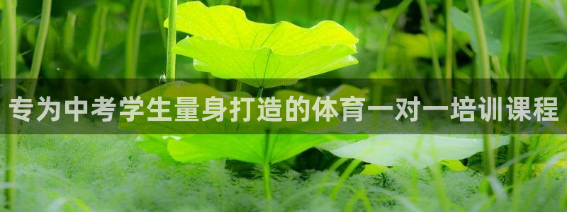 尊龙凯时存款多久到账