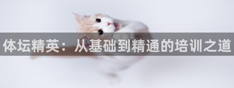 尊龙游戏app官方网站