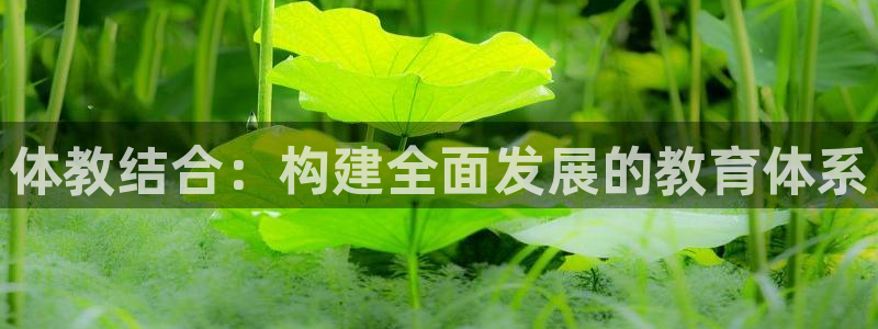 尊龙官网手机版下载