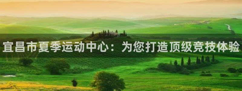 尊龙手机版下载