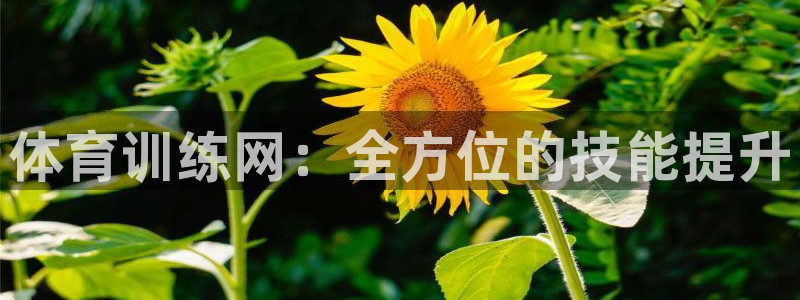 尊龙新版手机app下载