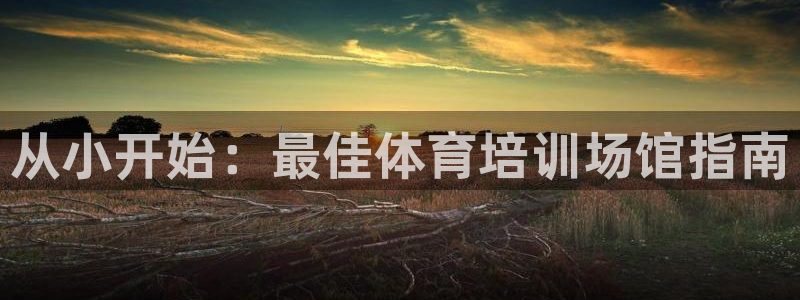 尊龙网站登录：从小开始：最佳体育培训场馆指南