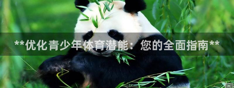 尊龙凯时网：**优化青少年体育潜能：您的全面指南**