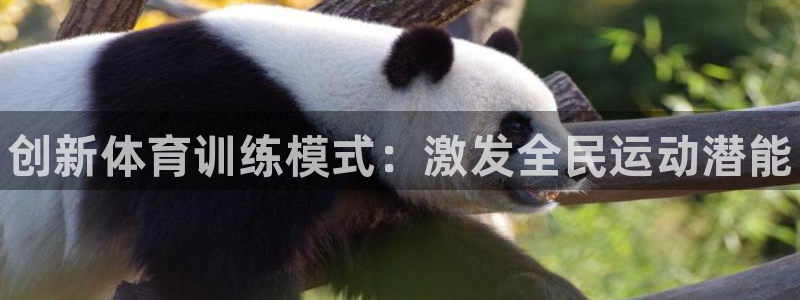 尊龙人生就是博d88官方网站：创新体育训练模式：激发