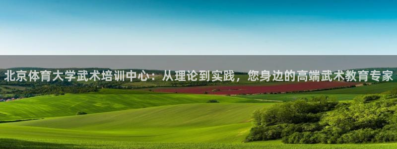 尊龙凯时取款24小时不到账：北京体育大学武术培训中心：从理论