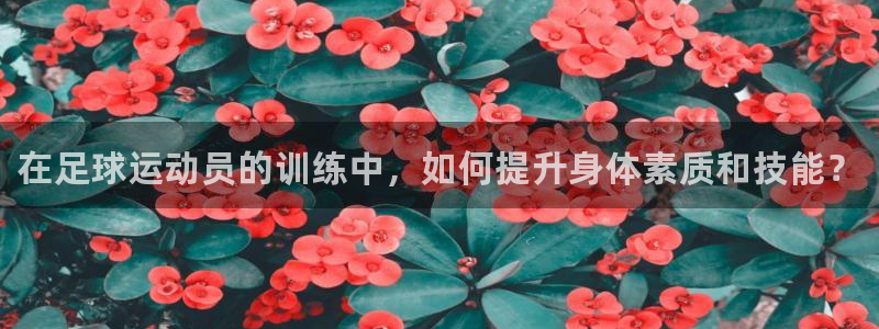 凯时官网app下载官方网站：在足球运动员的训练中，如