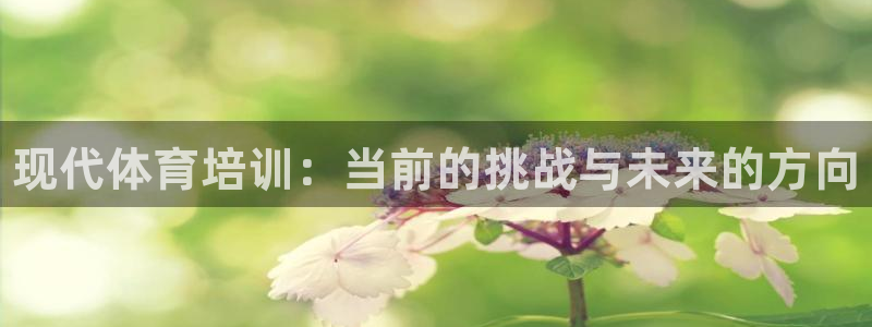 尊龙官方网址：现代体育培训：当前的挑战与未来的方向