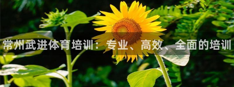 d88尊龙官网登录免费下载：常州武进体育培训：专业、