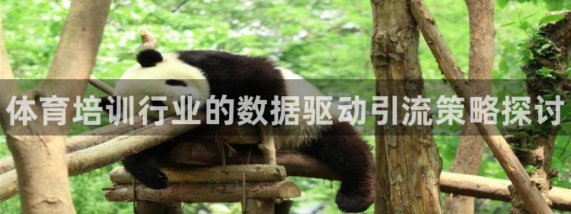 尊龙人生就是博旧版现：体育培训行业的数据驱动引流策略