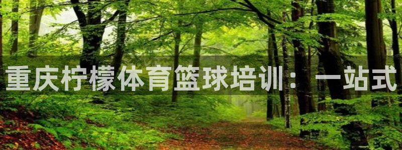 z6尊龙z6：重庆柠檬体育篮球培训：一站式